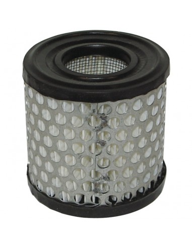 FILTRE A AIR POUR BRIGGS & STRATTON 2 A 5CV (392308)