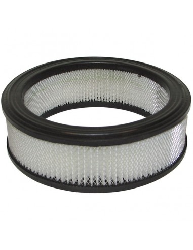 FILTRE AIR COURONNE POUR BRIGGS & STRATTON