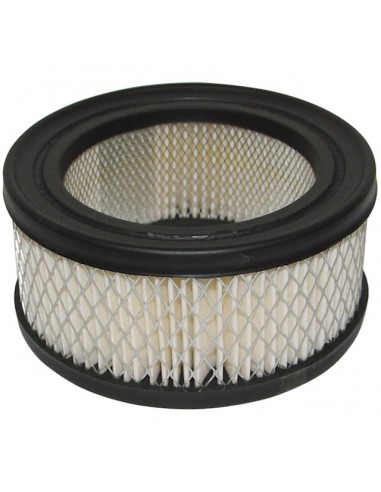 FILTRE A AIR POUR BRIGGS & STRATTON 10/12CV (392286)
