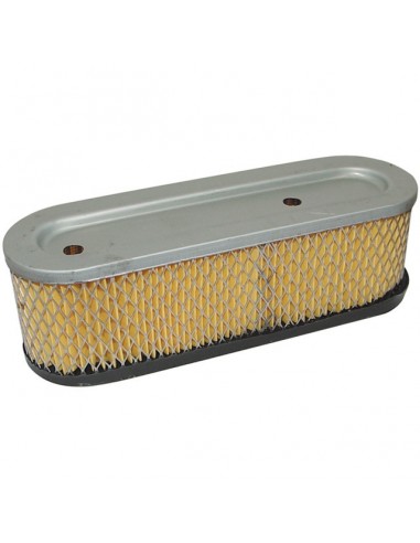 FILTRE A AIR POUR BRIGGS & STRATTON 10 A 12CV (491519)