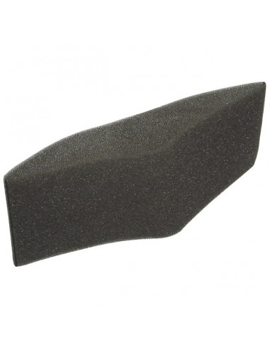 PRE-FILTRE POUR BRIGGS & STRATTON 493910 (272477)