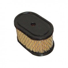 FILTRE A AIR POUR  BRIGGS & STRATTON 5CV (494586)