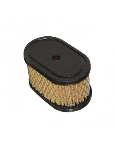 FILTRE A AIR POUR  BRIGGS & STRATTON 5CV (494586)