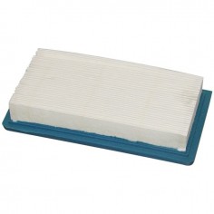FILTRE A AIR POUR BRIGGS & STRATTON VANGUARD (494511)