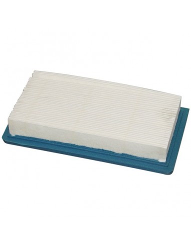 FILTRE A AIR POUR BRIGGS & STRATTON VANGUARD (494511)