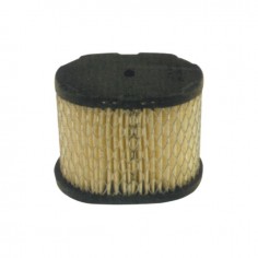 FILTRE A AIR POUR BRIGGS & STRATTON 5
