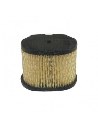 FILTRE A AIR POUR BRIGGS & STRATTON 5