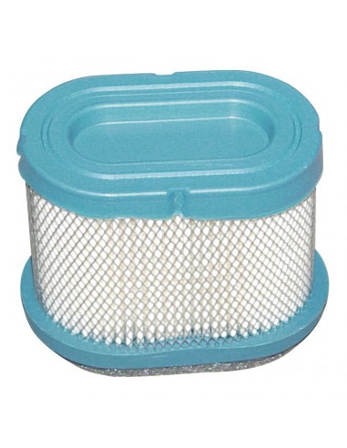 FILTRE A AIR POUR BRIGGS & STRATTON 123600 (692446)