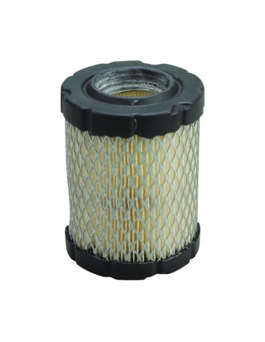 FILTRE A AIR POUR BRIGGS & STRATTON 11-13