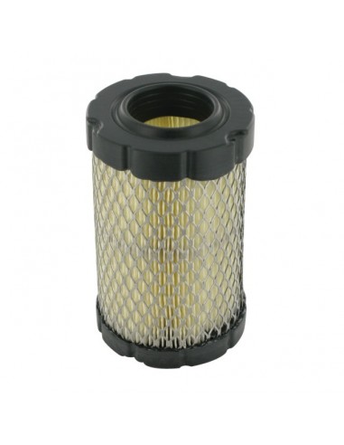 FILTRE A AIR POUR BRIGGS & STRATTON 15-17