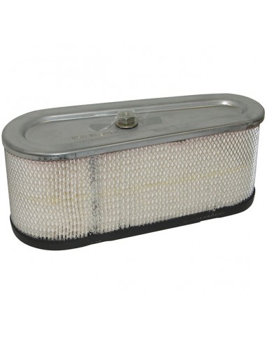 FILTRE A AIR POUR BRIGGS & STRATTON 12 A 15CV (493939)