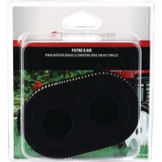 FILTRE A AIR POUR BRIGGS & STRATTON 09P/500/EX (798452)