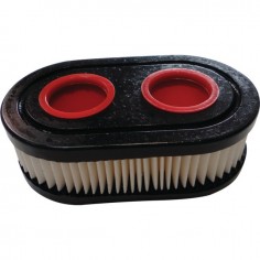 FILTRE A AIR POUR BRIGGS & STRATTON 09P/500/EX (798452) 2