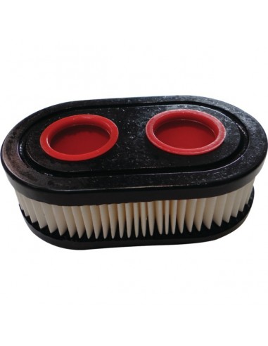FILTRE A AIR POUR BRIGGS & STRATTON 09P/500/EX (798452)