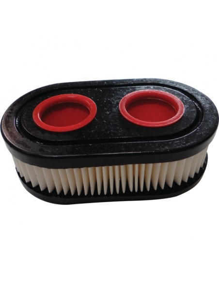 FILTRE A AIR POUR BRIGGS & STRATTON 09P/500/EX (798452)