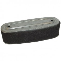 FILTRE A AIR POUR HONDA GV340 (17211891004)