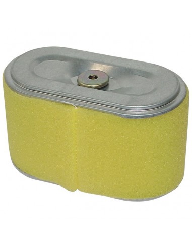 FILTRE A AIR POUR HONDA GXV270/340/390 (17210ZE8013)