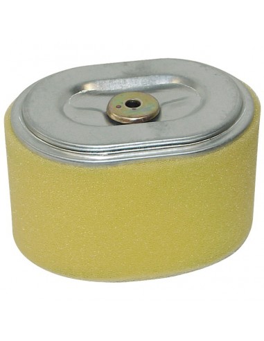FILTRE A AIR POUR HONDA GX110/120 (17210ZE0822)