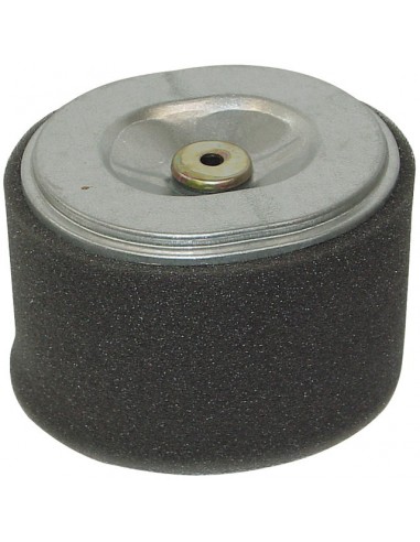 FILTRE A AIR POUR HONDA GX240/270 8/9CV (17210ZE2822)