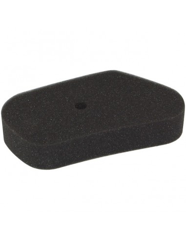 FILTRE A AIR POUR HONDA HR173/GV100 (17211ZG1700)