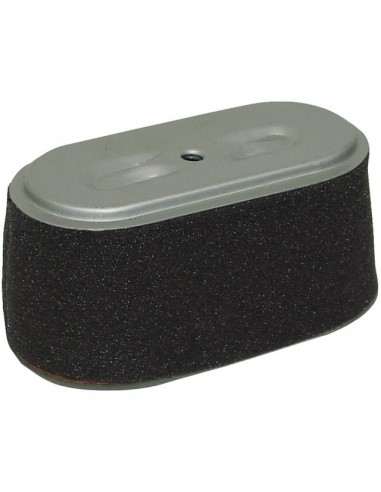 FILTRE A AIR POUR HONDA GX160/F660 (17210734003)