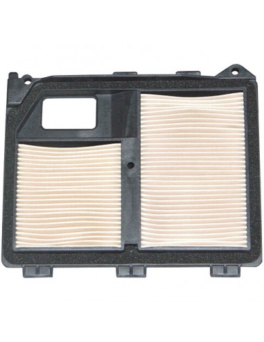 FILTRE A AIR POUR HONDA GX620 (17010ZJ1000)