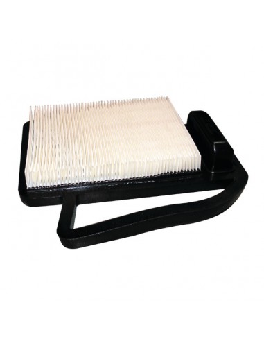 FILTRE A AIR  POUR KOHLER SV470/600 (2008302)