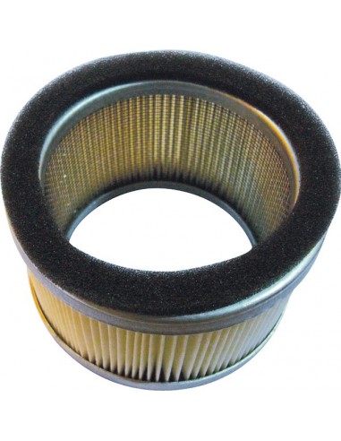 FILTRE A AIR  POUR KUBOTA T120/250/320/350 (13907-1121)