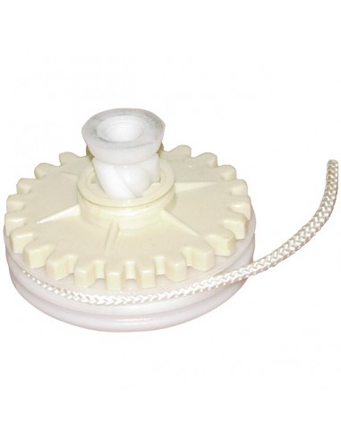 POULIE LANCEUR POUR BRIGGS & STRATTON 3
