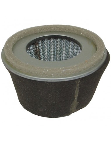 FILTRE A AIR POUR ROBIN EY20 (2273261007)