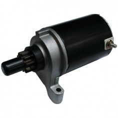 DEMARREUR 10 DENTS POUR TECUMSEH (37425/36914)