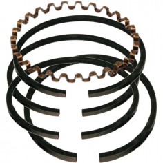 SEGMENTS POUR BRIGGS & STRATTON 3