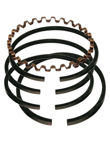 SEGMENTS POUR BRIGGS & STRATTON 3