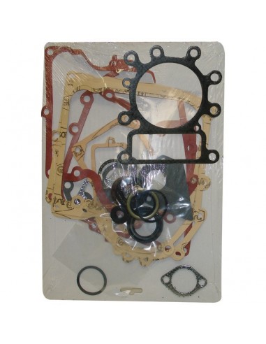 POCHETTE JOINTS POUR BRIGGS & STRATTON 13-15CV (495993)