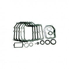 POCHETTE JOINTS POUR BRIGGS & STRATTON 10-13CV (494241)