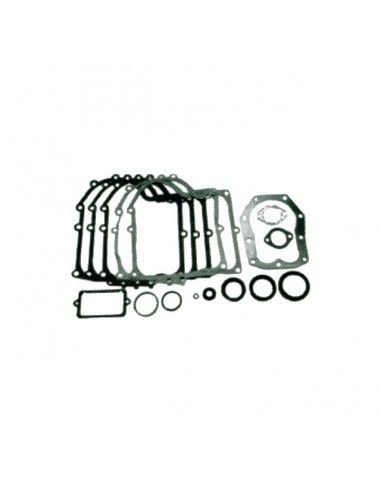 POCHETTE JOINTS POUR BRIGGS & STRATTON 10-13CV (494241)