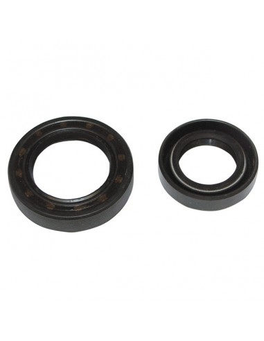 JOINT SPI POUR BRIGGS AND STRATTON 4/5CV (294606S)