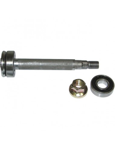 ARBRE ETOILE 5 DENTS + ROULEMENTS POUR AYP ROPER (137646)