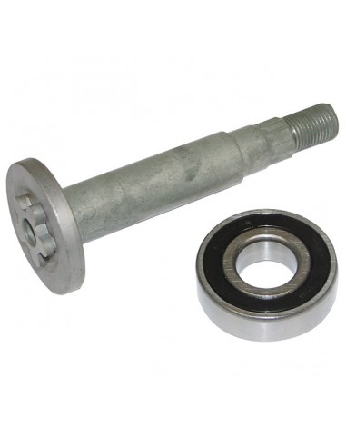 ARBRE ETOILE 6 DENTS + ROULEMENTS POUR AYP ROPER (165482)