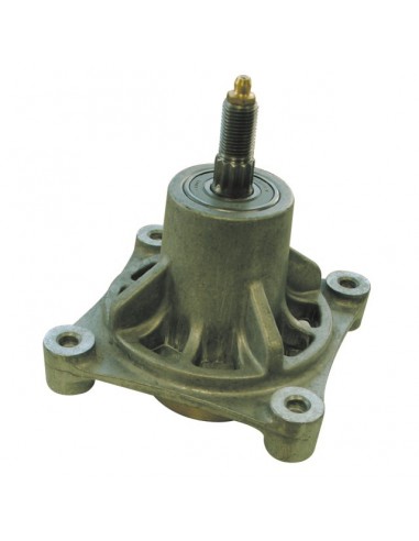 PALIER POUR AYP (174356) 48 APRES 2001