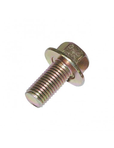 VIS DE LAME POUR TONDEUSE HONDA 10X20 MM (90105-960-710)