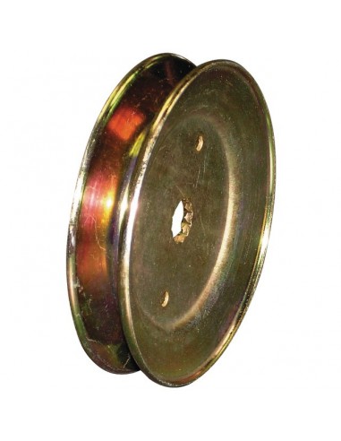 POULIE POUR PALIER AYP (129861