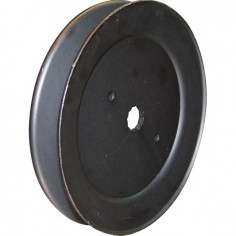 POULIE POUR PALIER AYP (198145) Ø EXTERIEUR 140 MM