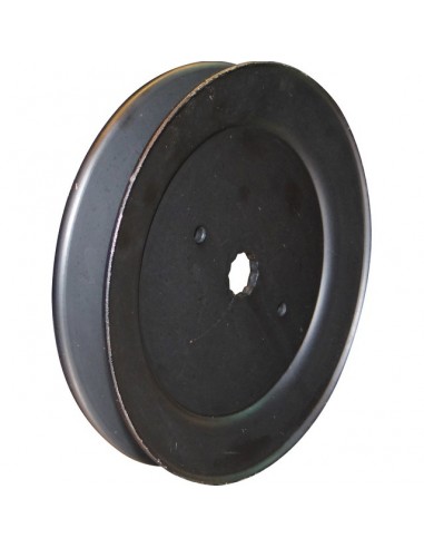 POULIE POUR PALIER AYP (198145) Ø EXTERIEUR 140 MM