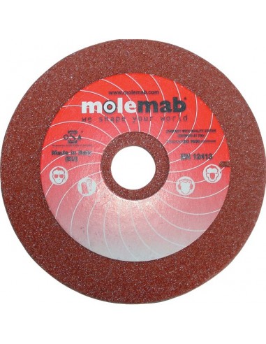 MEULE D'AFFUTAGE Ø100MM ALESAGE 16MM EPAISSEUR 3