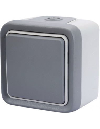 INTERRUPTEUR VA ET VIENT ETANCHE 10A 250V PLEXO GRIS COMPLET IP55 LEGRAND