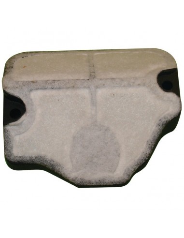 FILTRE A AIR POUR HUSQVARNA 36