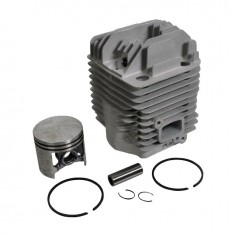 CYLINDREE POUR STIHL TS 460 (42210201206)