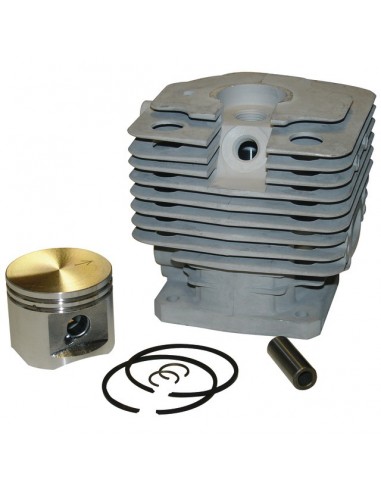 CYLINDREE POUR STIHL FR450