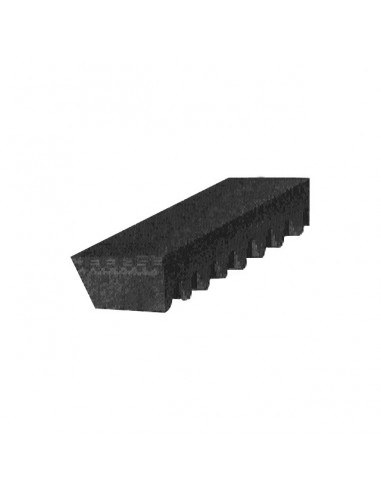 COURROIE TRAPEZOIDALE CRANTEE 12